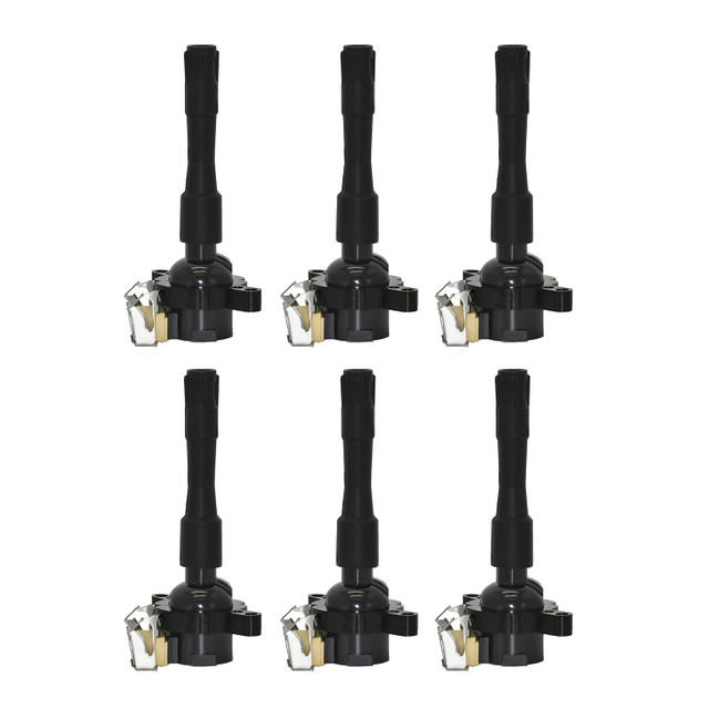 OE 12131748017 12131748018 BMW Bobina de aprindere | Pentru BMW 323i 1999, 2000 BMW 323i, 328i, 528i E39 E46